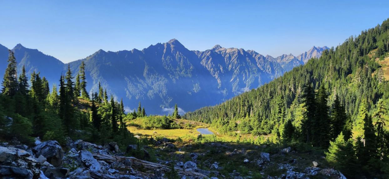 Pacific Northwest Landscape